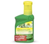 Neudorff Azet Engrais plantes vertes - Engrais 100% naturel pour une croissance rapide et des feuilles d'un vert profond pour toutes les plantes vertes, 250 ml