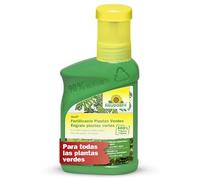 Neudorff Azet Engrais plantes vertes - Engrais 100% naturel pour une croissance rapide et des feuilles d'un vert profond pour toutes les plantes vertes, 250 ml