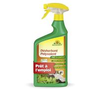 Neudorff Finalsan AF Désherbant Polyvalent - Spray désherbant à action rapide contre les mousses et les algues, utilisable sur de nombreuses surfaces, 1 L
