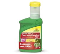 Neudorff Anti-Pucerons Spruzit Concentré, 250 ml - Traitement contre pucerons pour plantes ornementales et fleurs, insecticide biologique a base de pyrèthre contre adultes, les larves et les œufs
