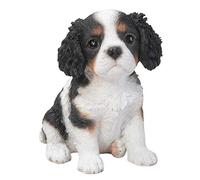 Neuf tricolore King Charles Puppy Pet pal Vivid Arts
