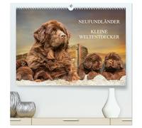 Neufundländer - Kleine Weltentdecker (hochwertiger Premium Wandkalender 2026 DIN A2 quer), Kunstdruck in Hochglanz: Lassen Sie sich von entzückenden 3 - 7 Wochen alten Neufundländerwelpen verzaubern