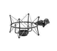 Neumann EA 1 MT