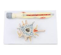 Neuron Model, Anatomy Education Model, 2500-Fold Magnification Neuronal Cell Body and Nerve Fiber Structure, Clear Texture, for Teaching, Biology Classroom Demonstration, Scientific Display