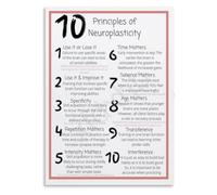 Neuroplasticity Fundamentals Poster Cognitive Science Wall Decor | Clear overview of use it or lose it and repetition mechanisms(Unframed,16x24inch(40x60cm))