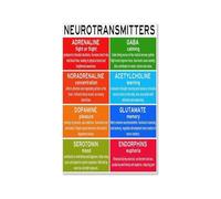 Neurotransmitters Metal Tin Sign Mental Health Infographic Educational Science Poster Wall-Art for Psychology Classroom Office Clinic Decor 8 X 12 inch