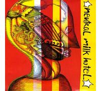 Neutral Milk Hotel - Everything Is