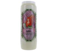 Neuvaine animal totem - Ecureuil