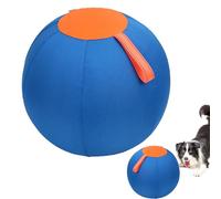 Nevalerra Grande balle gonflable pour chien - Grande balle gonflable lumineuse pour animaux de compagnie - Bleu - Jouet multi-usage pour chiots