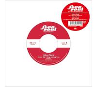 Never Did I Stop Loving You / Don't You Care (Free Soul 7inch collection)（初回生産限定盤）（7inch） [Analog]