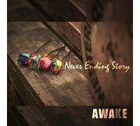 Never Ending Story [Import allemand]
