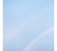 NEVER ENOUGH by Turnstile [VINYL] NEUF