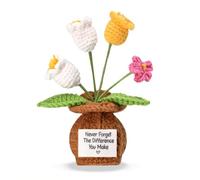 Never Forget the Difference You Make Postive Crocheted Orchidées, Cadeaux de remerciement pour collègues, amis, enseignants, pot de fleurs crocheté pour anniversaire, Noël