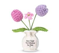 Never Forget the Difference You Make Postive Purple Crocheted Tulipes - Cadeau de remerciement pour collègues, amis, enseignants, pot de fleurs crocheté pour anniversaire, Noël