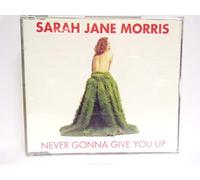 Never Gonna Give You up (INCL. 2 Versions, 1992) [Import]