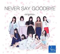 NEVER SAY GOODBYE ~arigatou~(Type-B)(DVD付)