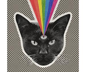 Never Shout Never - Black Cat