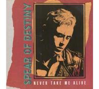 NEVER TAKE ME ALIVE 12" SINGLE UK 10 1987