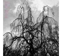 Colin Stetson – Never Were the Way She Was – Vinyle LP 180 g – Neuf – Digital Down