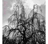 Never Were the Way She Was