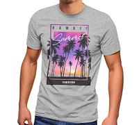 Neverless® T-shirt pour homme Hawaii Summer Inscription Palmiers Impression photo été surf mode streetstyle, Hawaii Summer Grau, L