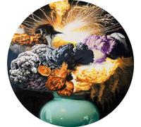 Nevermen & Boards Of Canada - Mr. Mistake (Boards Of Canada Remix) [7-Inch Single] Picture Disc