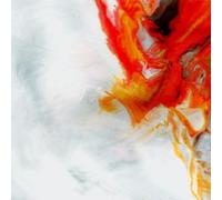 Nevertel - Start Again [Compact Discs]