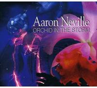 Neville,Aaron - Orchid in the Storm