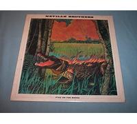 NEVILLE BROTHERS - Fiyo on Bayou