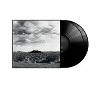 New Adventures In Hi‑Fi – Vinyle – Universal Music Group