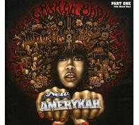New Amerykah Part One (4th World War)