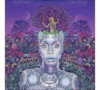 New Amerykah, Pt. 2: Return of the Ankh [Vinyl] by Erykah Badu [VINYL] NEUF