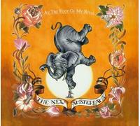 New Amsterdams - At The Foot Of My Rival (+ 3 Bonustracks)