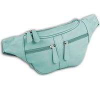 New Bags Femme Sac de hanche Sac banane menthe fermeture éclair double sens D2OTD5023L