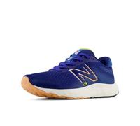 New Balance Femme 520v8, Bleu, 40 EU