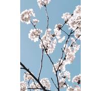 New Beginning 2026: A Blank Journal to Start Fresh, Write Your Story