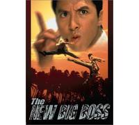 New Big Boss