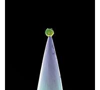 New Blood (2 CD, inclus version instrumentale)