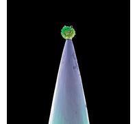 New Blood [Import Allemand]