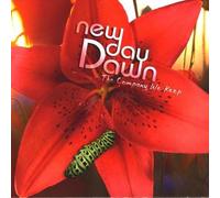New Day Dawn - Company We Keep