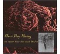 New Day Rising - We Cannot Know How Much Blood It Costs