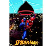 new discount Nouveaute - Cape DE Bain - Poncho DE Bain Spider Man avec Capuche Microfibre - Dimensions 55 X 110 CM
