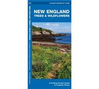 New England Trees amp Wildflowers A Folding Pocket Guide to Familiar Species by Illustrated by Dr Raymond Leung James Kavanagh Kavanagh, Leung (Auteur)