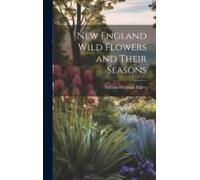 New England Wild Flowers And Their Seasons