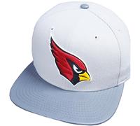 New Era Arizona Cardinals NFL Gris Storm 9fifty 950 Snapback Cap Édition Limitée