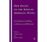 New Essays On The African American Novel