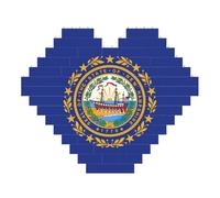 New Hampshire State Flag Print Art Brique Puzzle en forme de cœur Brique Brique Bricolage Blocs de Construction Ensemble 3D Puzzle Décoration de la Maison 53 Pièces