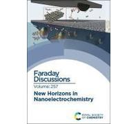 New Horizons In Nanoelectrochemistry