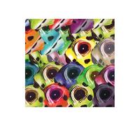 New House, the - Kill The House [Import]