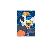 NEW IMPORT 015NRT-PL Couvertures Polaires, 100% Polyester, Couleur, único